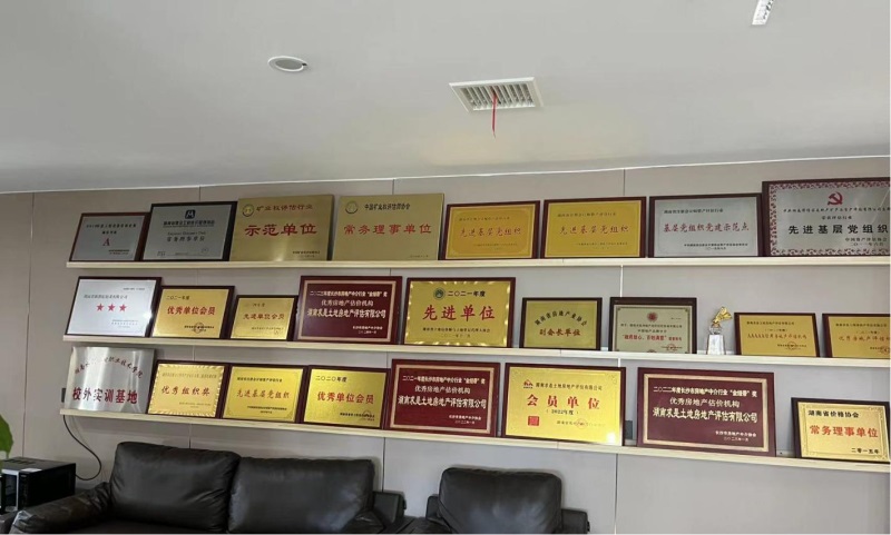 中联资产评估,湖南华信,矿业权评估,价格评估,求是房地产评估,土地评估,资产评估,工程造价,拍卖,会计