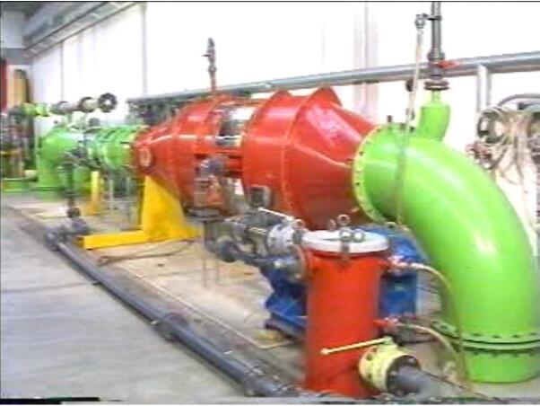 无码人妻丰满熟妇啪啪